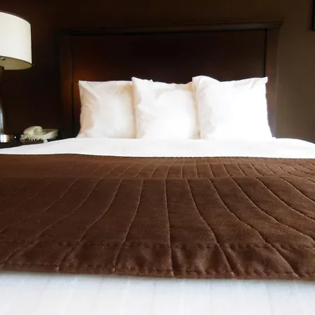 Niwas Inn Fife Room photo